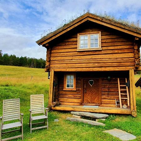 Lokken Fjellgard Villa Folldal Екстериор снимка